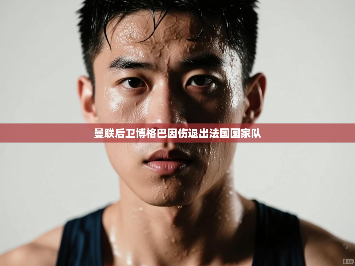 曼联后卫博格巴因伤退出法国国家队  第1张