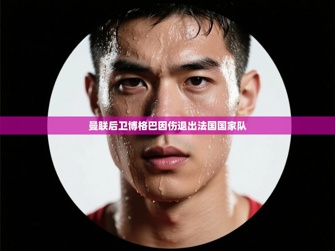 曼联后卫博格巴因伤退出法国国家队  第2张