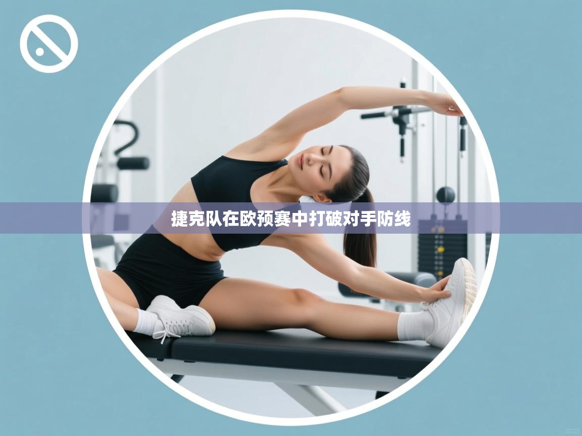 捷克队在欧预赛中打破对手防线  第2张