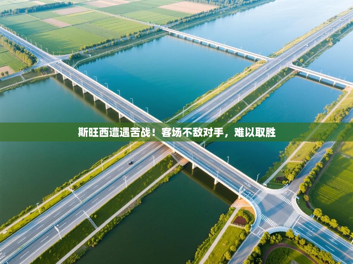 斯旺西遭遇苦战！客场不敌对手，难以取胜  第2张