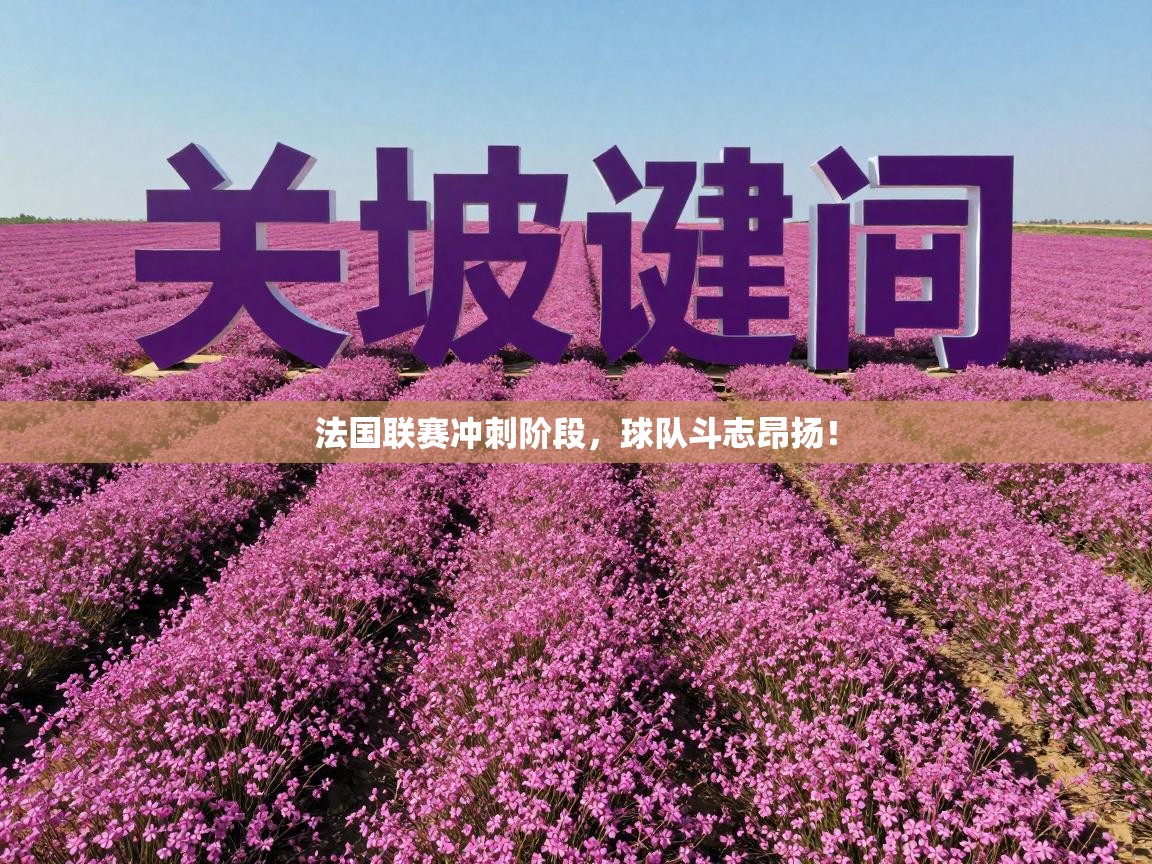 法国联赛冲刺阶段，球队斗志昂扬！  第2张