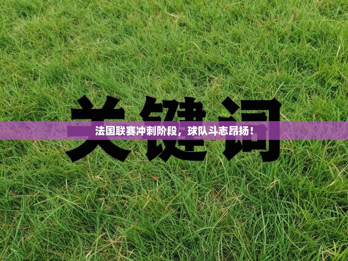 法国联赛冲刺阶段，球队斗志昂扬！  第1张