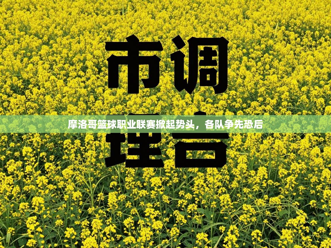 摩洛哥篮球职业联赛掀起势头，各队争先恐后  第1张