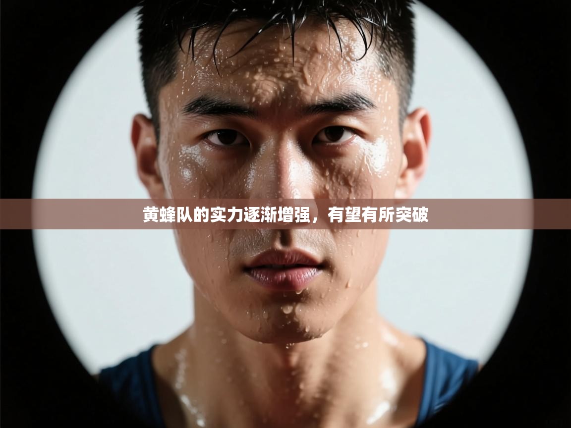 黄蜂队的实力逐渐增强,有望有所突破 第1张