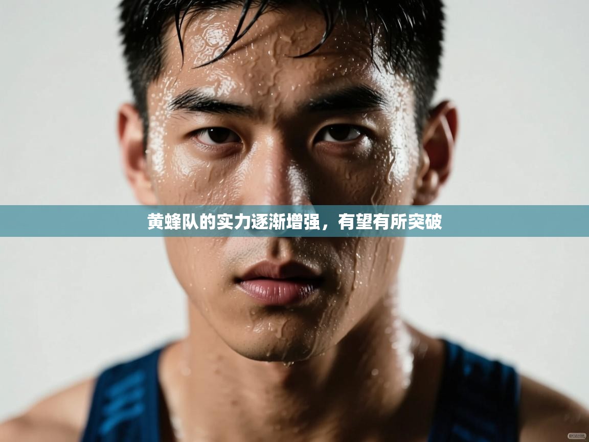黄蜂队的实力逐渐增强,有望有所突破 第2张